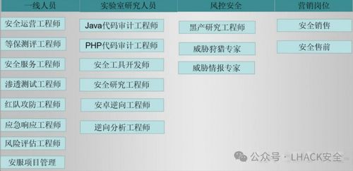 網絡安全專家與信息安全畢業(yè)生就業(yè)分析 聚焦網絡與信息安全軟件開發(fā)