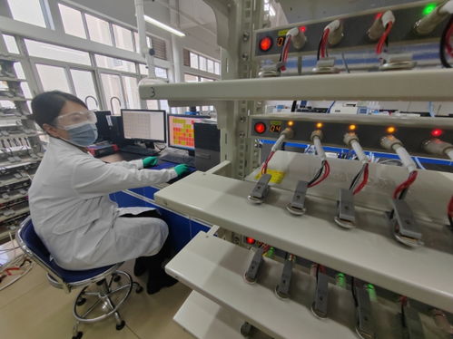 中國首創！洛陽牡丹殼變廢為寶，開啟鈉電池負極材料新紀元